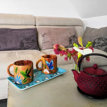 Hébergement de vacances Maison Drogou O Bien-être Massage *